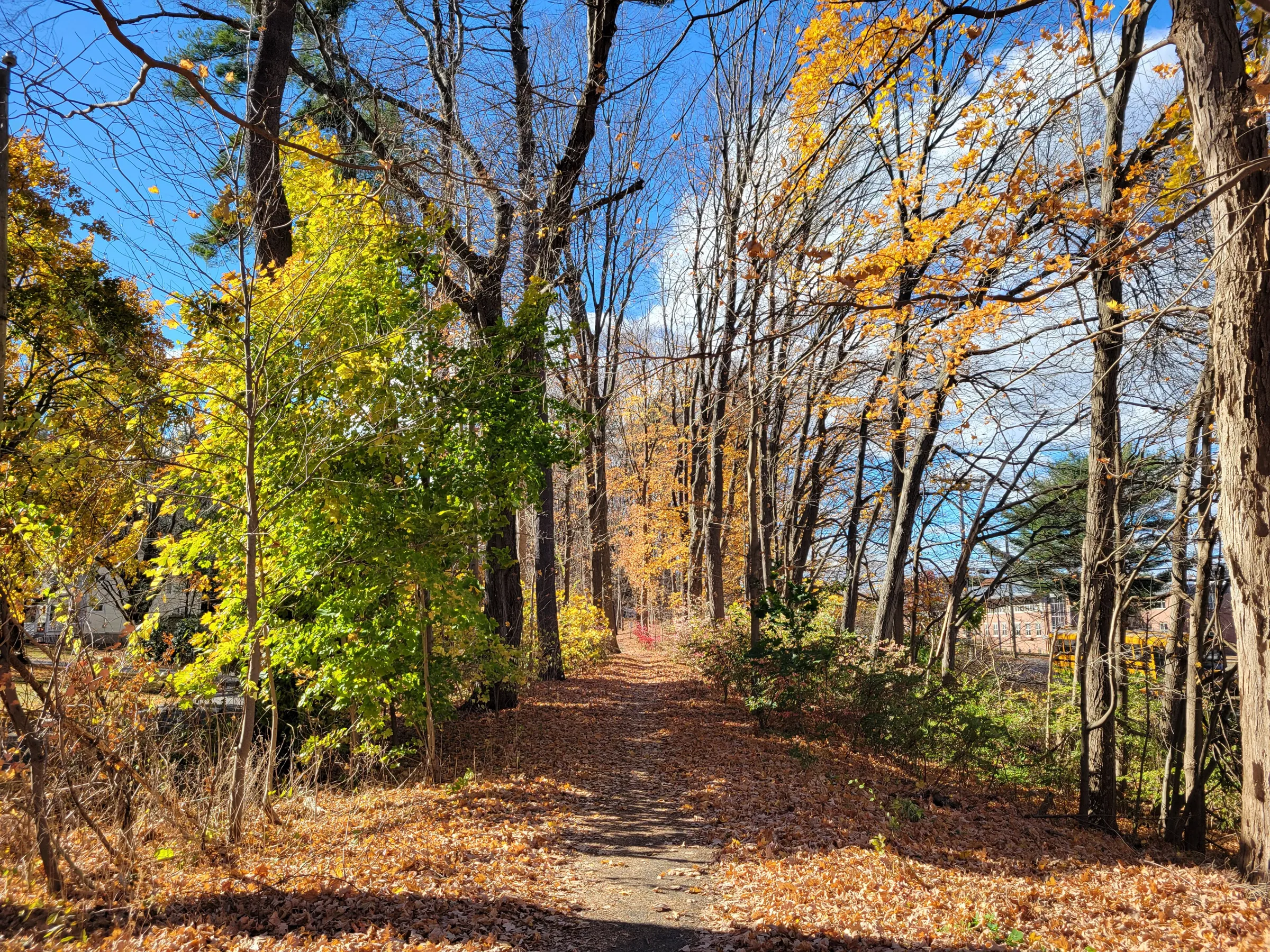 The Farmington River Trail through November foliage in Simsbury